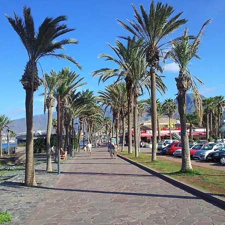 Schoenes Casa Palmera 3 Mit Balkon * Playa de las Americas (Tenerife)